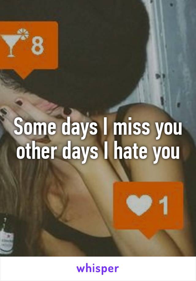 Some days I miss you other days I hate you