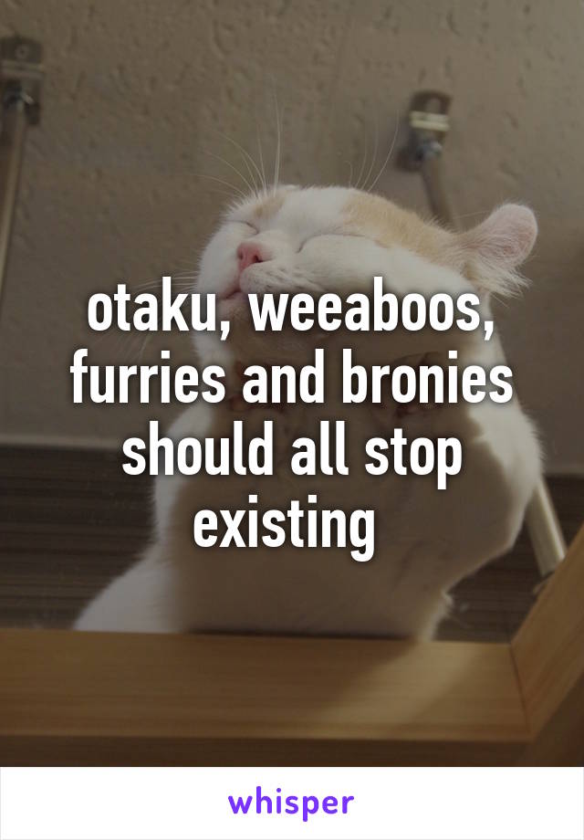 otaku, weeaboos, furries and bronies should all stop existing 