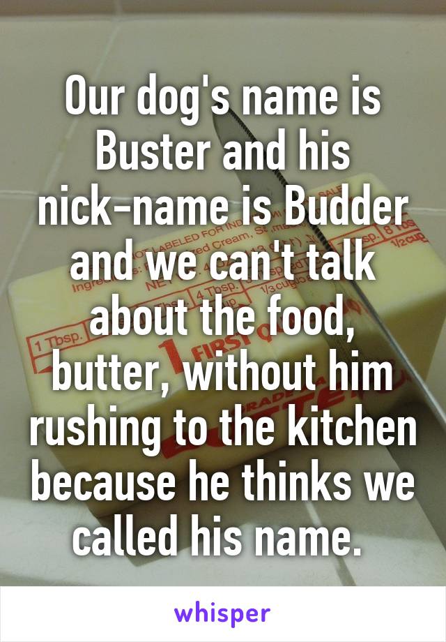 Our dog's name is Buster and his nick-name is Budder and we can't talk about the food, butter, without him rushing to the kitchen because he thinks we called his name. 