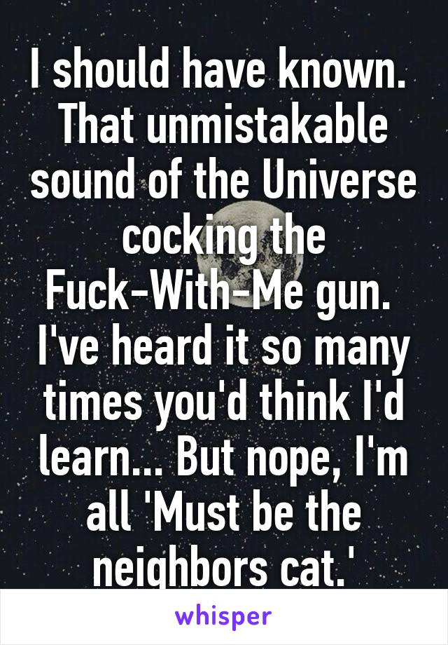 I should have known.  That unmistakable sound of the Universe cocking the Fuck-With-Me gun.  I've heard it so many times you'd think I'd learn... But nope, I'm all 'Must be the neighbors cat.'