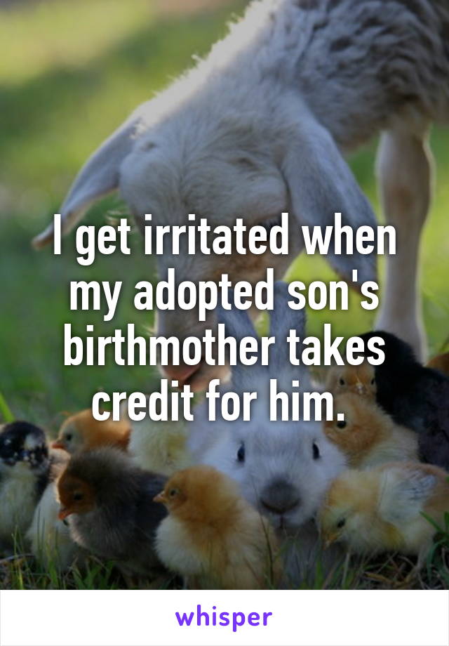 I get irritated when my adopted son's birthmother takes credit for him. 