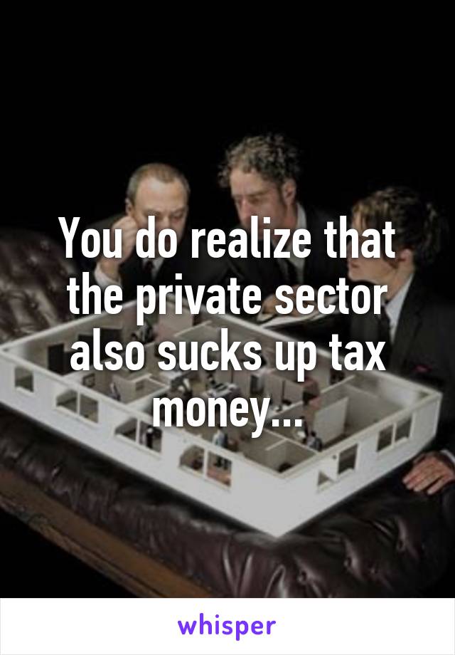 You do realize that the private sector also sucks up tax money...