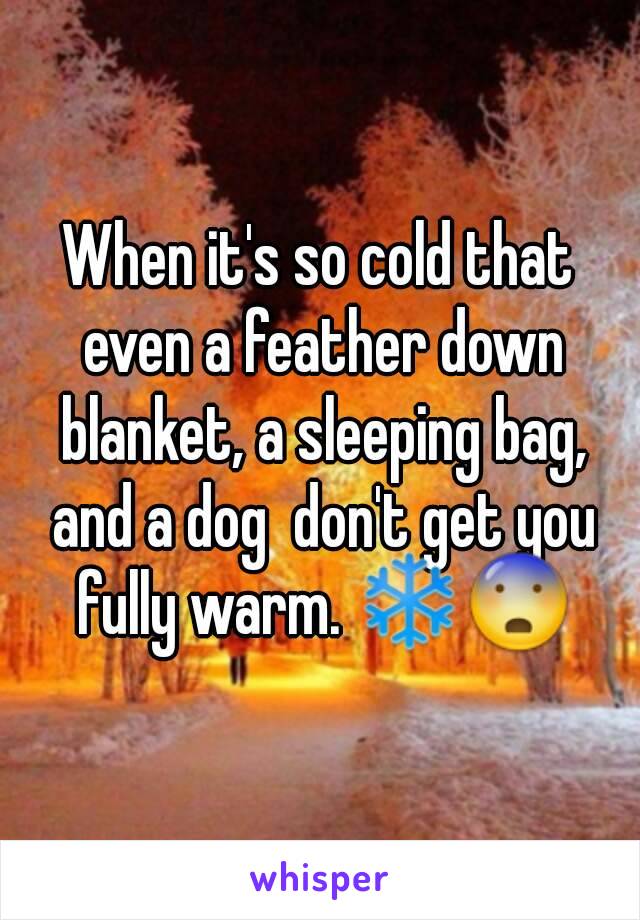 When it's so cold that even a feather down blanket, a sleeping bag, and a dog  don't get you fully warm. ❄😨