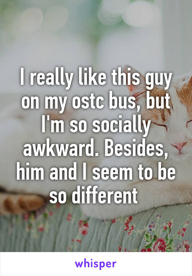 I really like this guy on my ostc bus, but I'm so socially awkward. Besides, him and I seem to be so different 