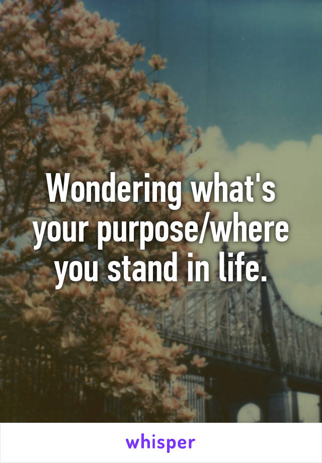 Wondering what's your purpose/where you stand in life.