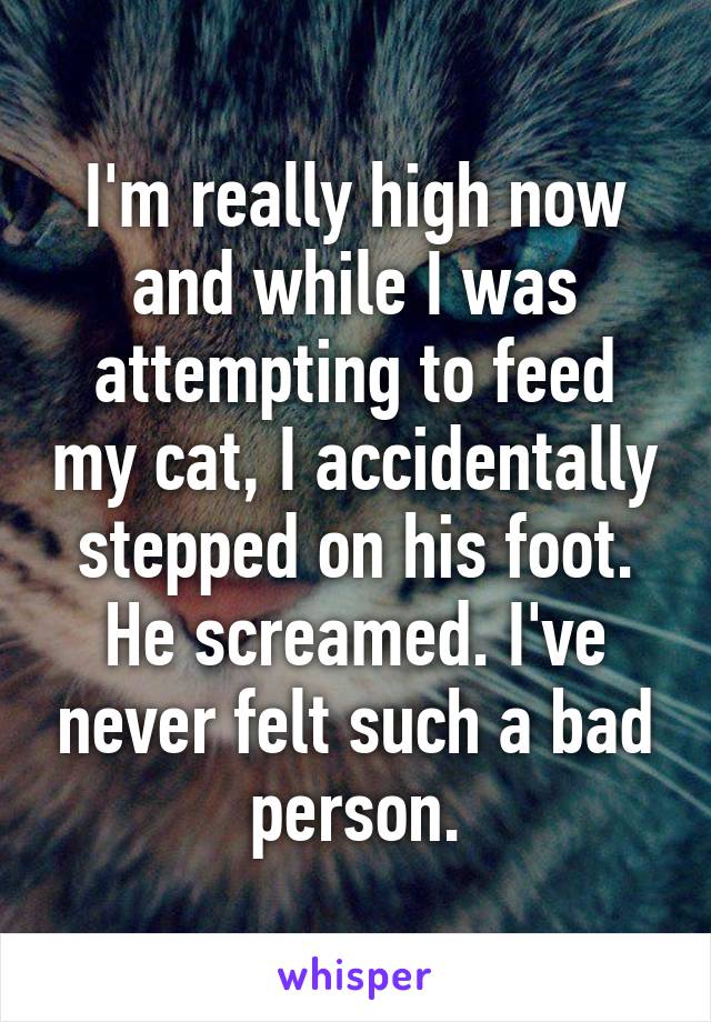 I'm really high now and while I was attempting to feed my cat, I accidentally stepped on his foot. He screamed. I've never felt such a bad person.