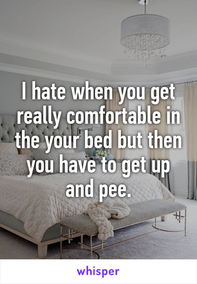 I hate when you get really comfortable in the your bed but then you have to get up and pee.