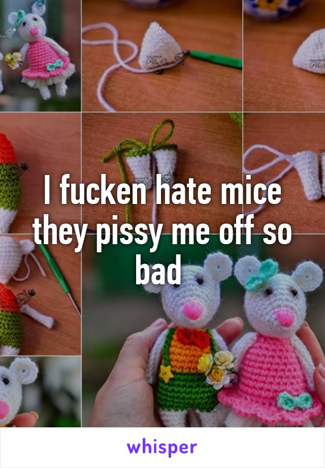 I fucken hate mice they pissy me off so bad 