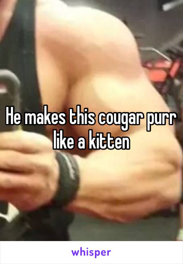 He makes this cougar purr like a kitten