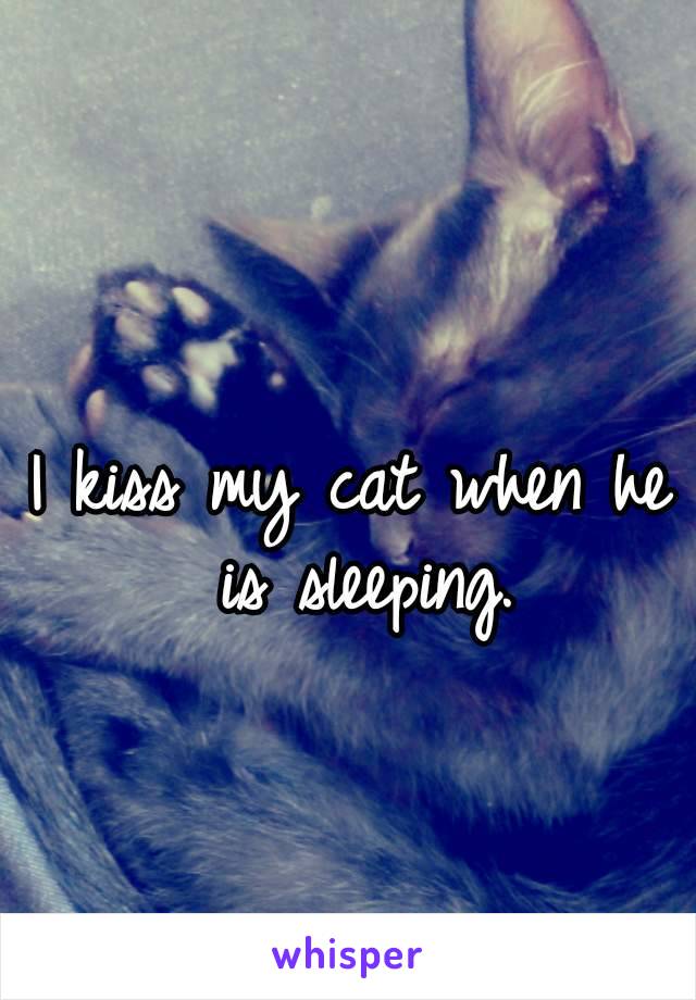 I kiss my cat when he is sleeping.