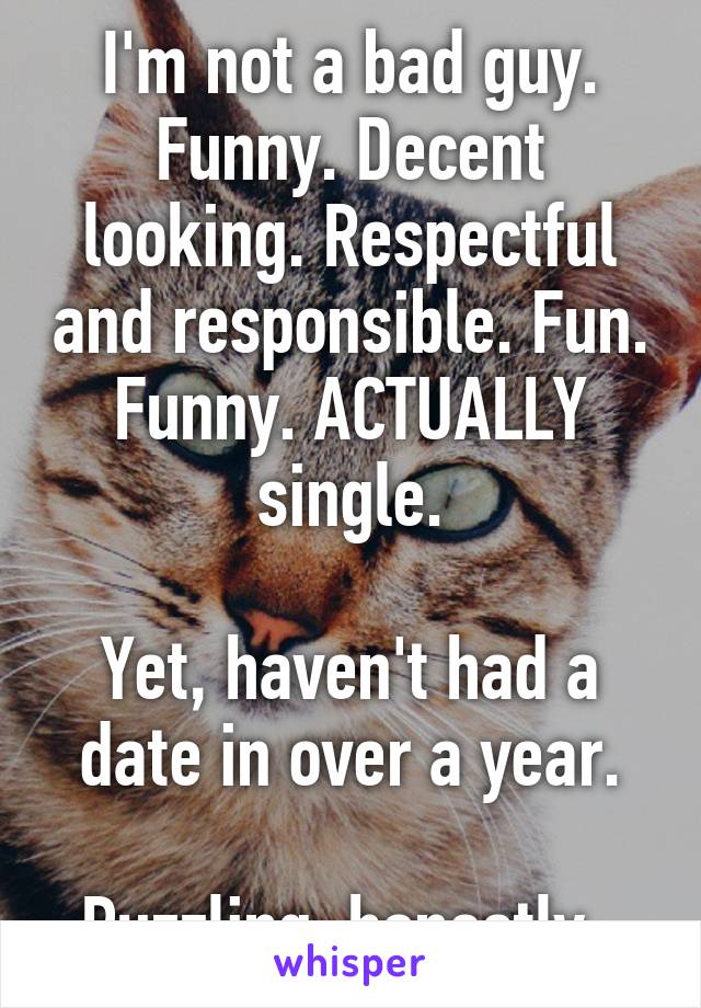 I'm not a bad guy. Funny. Decent looking. Respectful and responsible. Fun. Funny. ACTUALLY single.

Yet, haven't had a date in over a year.

Puzzling, honestly. 