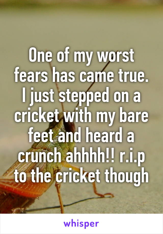 One of my worst fears has came true. I just stepped on a cricket with my bare feet and heard a crunch ahhhh!! r.i.p to the cricket though