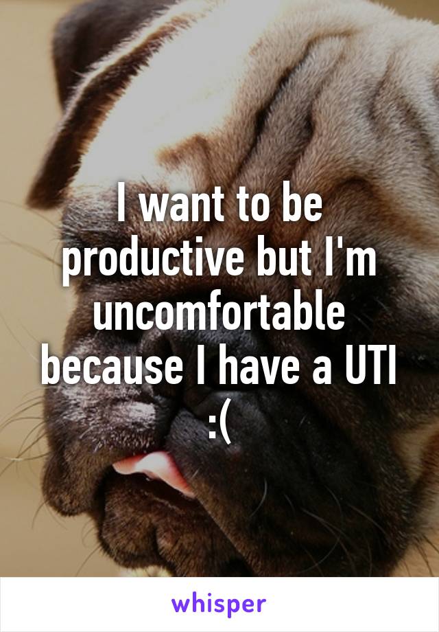 I want to be productive but I'm uncomfortable because I have a UTI :(