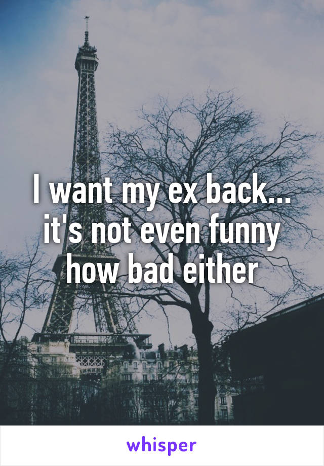 I want my ex back... it's not even funny how bad either