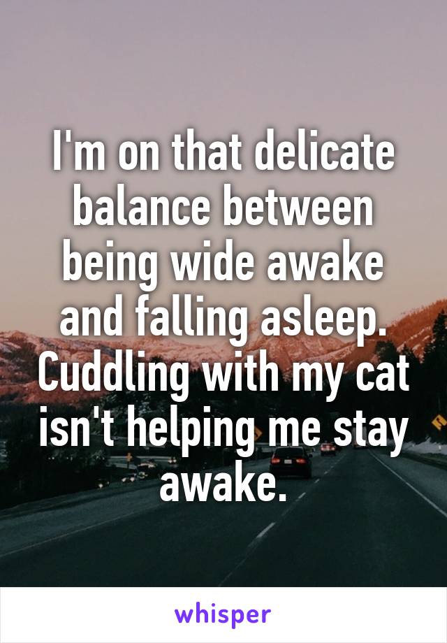 I'm on that delicate balance between being wide awake and falling asleep. Cuddling with my cat isn't helping me stay awake.