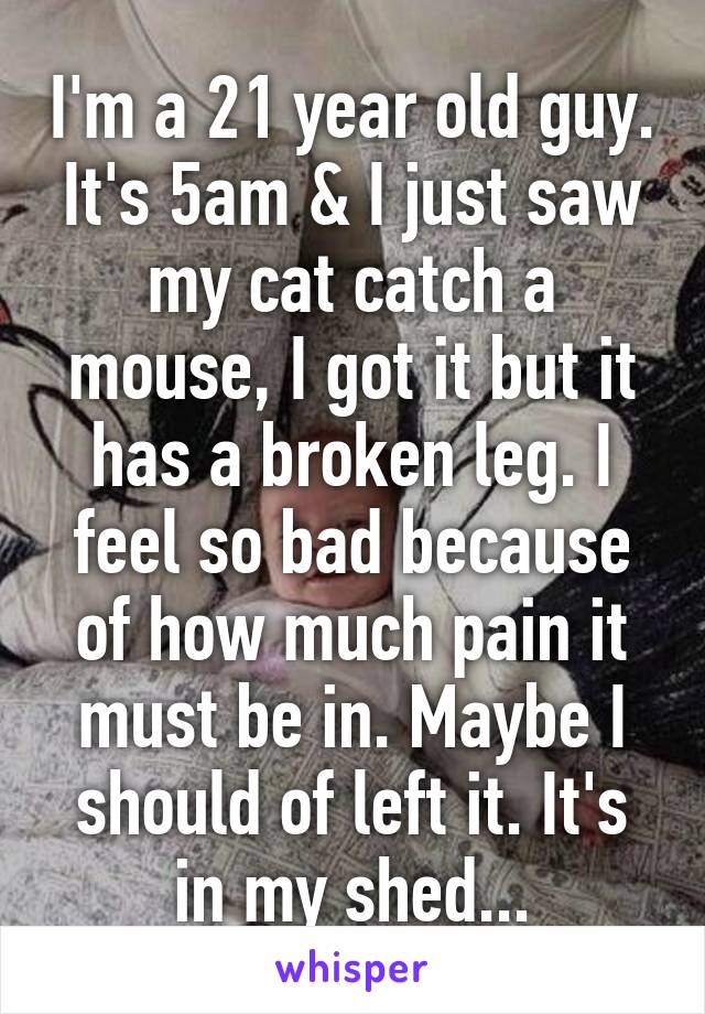 I'm a 21 year old guy. It's 5am & I just saw my cat catch a mouse, I got it but it has a broken leg. I feel so bad because of how much pain it must be in. Maybe I should of left it. It's in my shed...