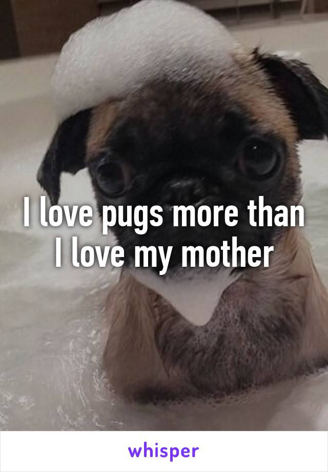 I love pugs more than I love my mother