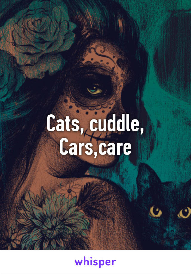 Cats, cuddle, Cars,care