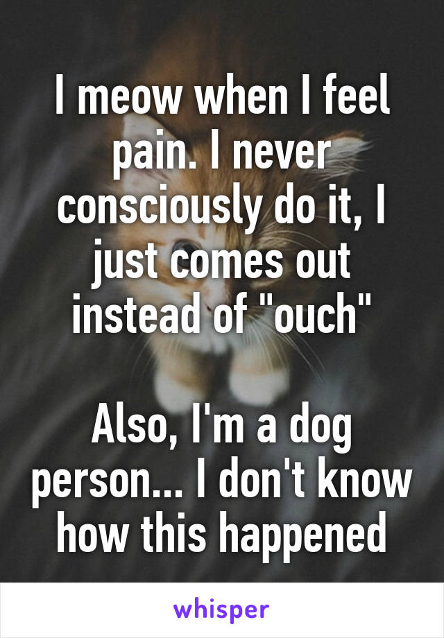 I meow when I feel pain. I never consciously do it, I just comes out instead of "ouch"

Also, I'm a dog person... I don't know how this happened