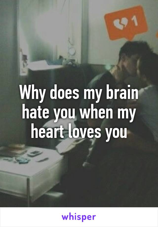 Why does my brain hate you when my heart loves you