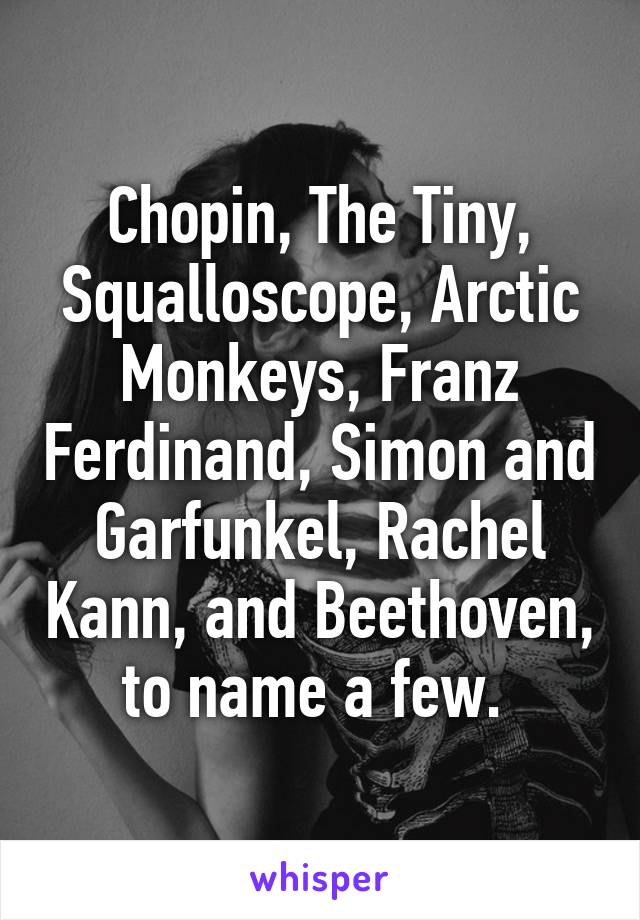 Chopin, The Tiny, Squalloscope, Arctic Monkeys, Franz Ferdinand, Simon and Garfunkel, Rachel Kann, and Beethoven, to name a few. 