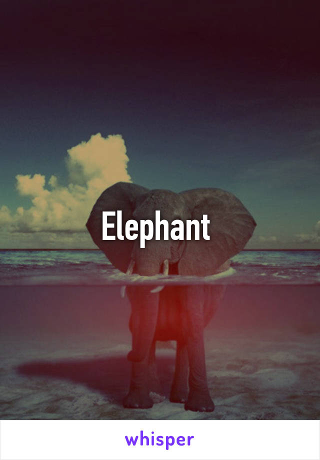 Elephant 