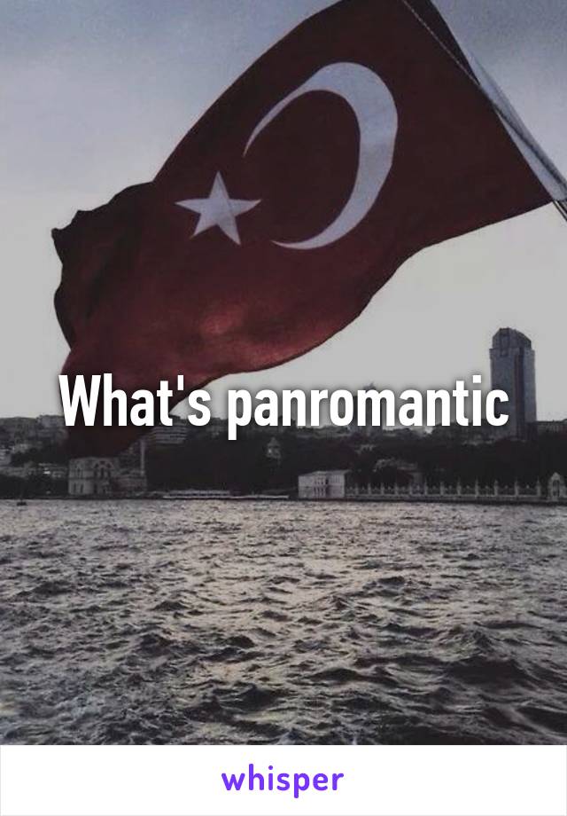 What's panromantic