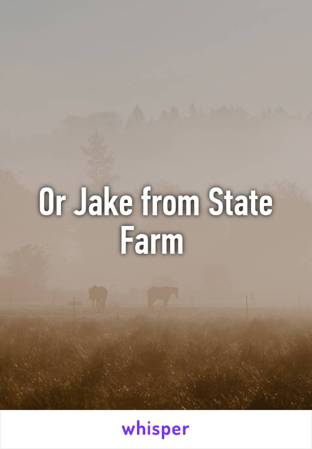 Or Jake from State Farm 