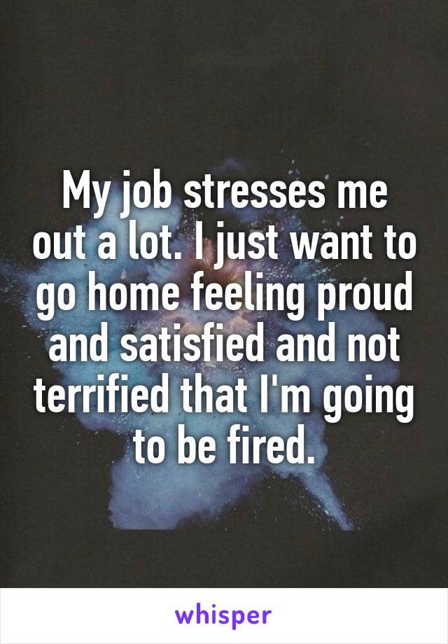 My job stresses me out a lot. I just want to go home feeling proud and satisfied and not terrified that I'm going to be fired.