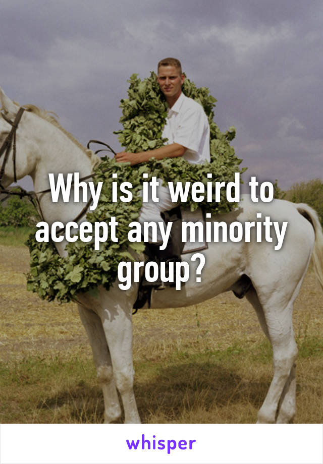 Why is it weird to accept any minority group?