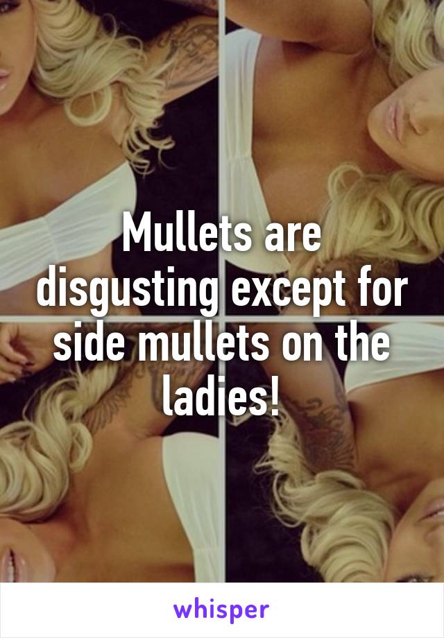 Mullets are disgusting except for side mullets on the ladies!