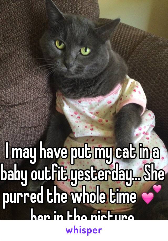 I may have put my cat in a baby outfit yesterday... She purred the whole time 💕 her in the picture 