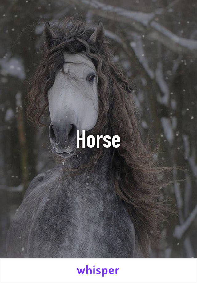 Horse