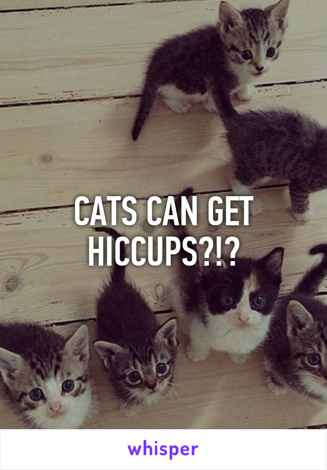 CATS CAN GET HICCUPS?!?