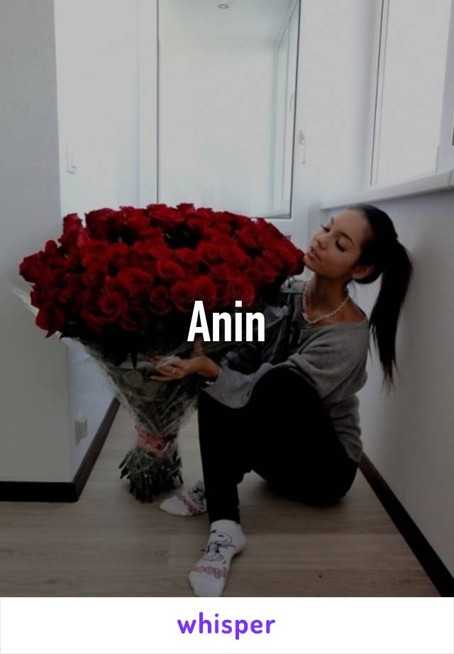 Anin