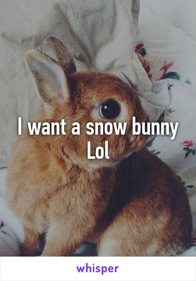 I want a snow bunny Lol