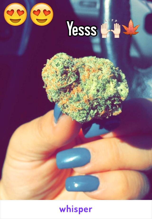 Yesss 🙌🏻🍁