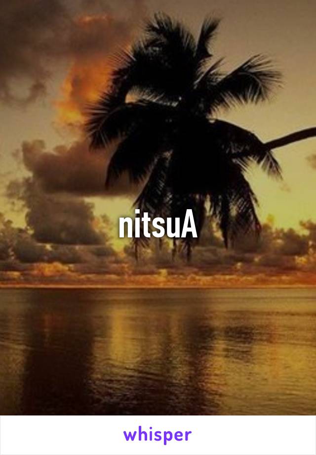 nitsuA