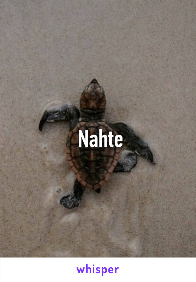  Nahte