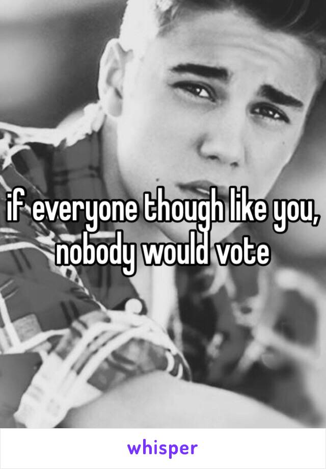 if everyone though like you, nobody would vote