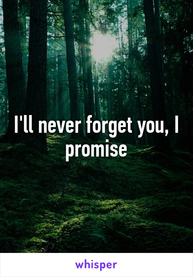 I'll never forget you, I promise