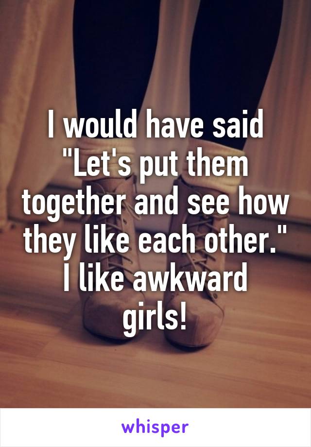 I would have said
"Let's put them together and see how they like each other."
I like awkward girls!