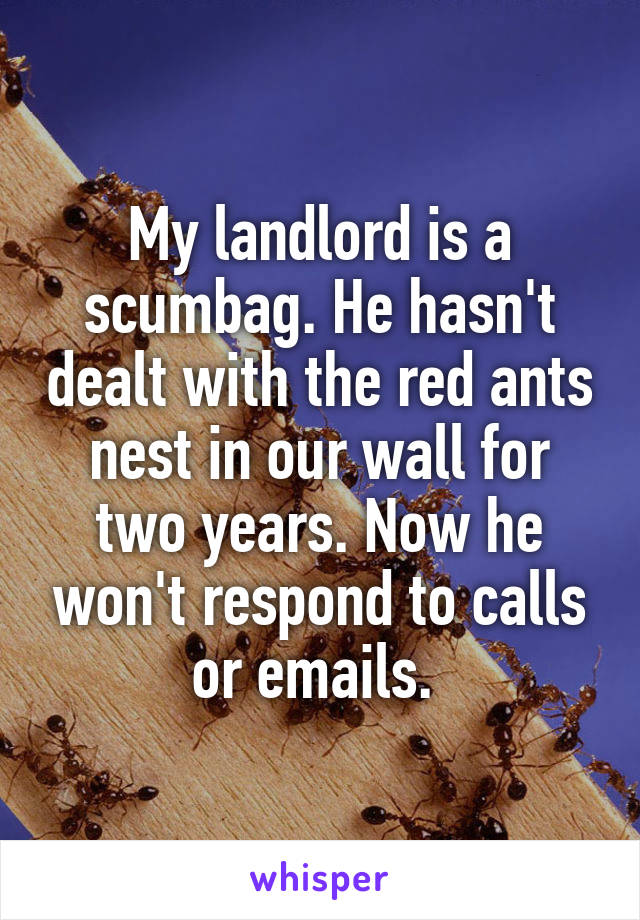 My landlord is a scumbag. He hasn't dealt with the red ants nest in our wall for two years. Now he won't respond to calls or emails. 