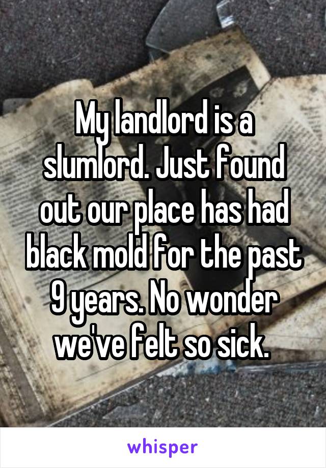 My landlord is a slumlord. Just found out our place has had black mold for the past 9 years. No wonder we've felt so sick. 