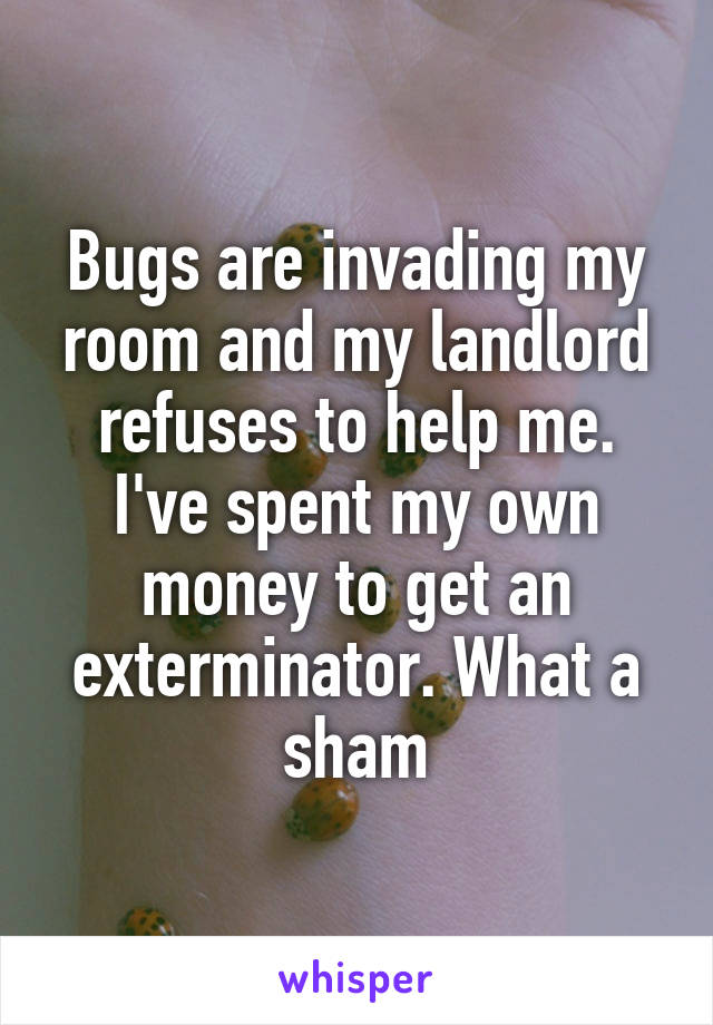 Bugs are invading my room and my landlord refuses to help me. I've spent my own money to get an exterminator. What a sham