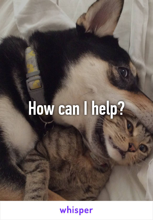 How can I help?