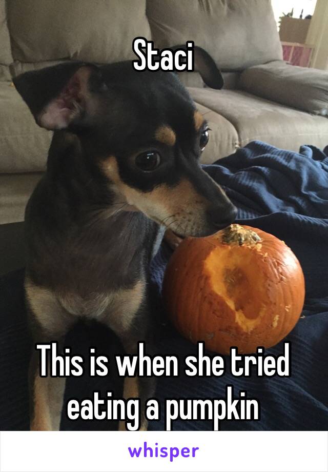 Staci






This is when she tried eating a pumpkin