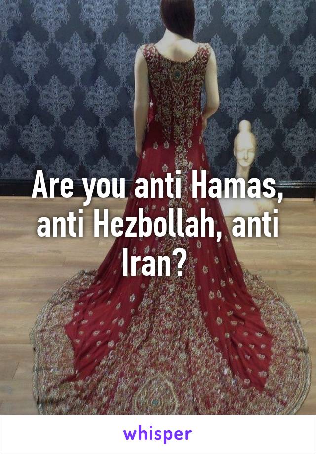 Are you anti Hamas, anti Hezbollah, anti Iran? 