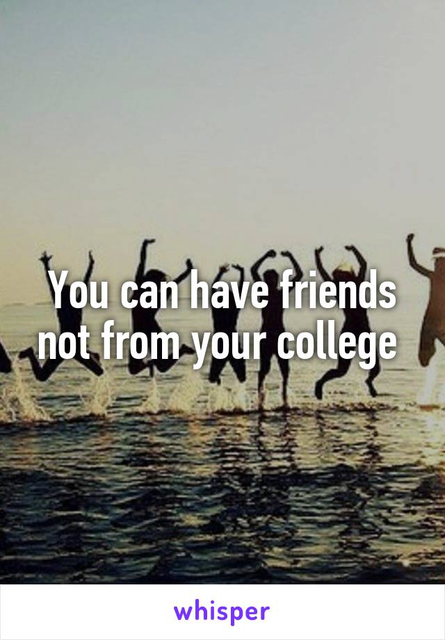 You can have friends not from your college 