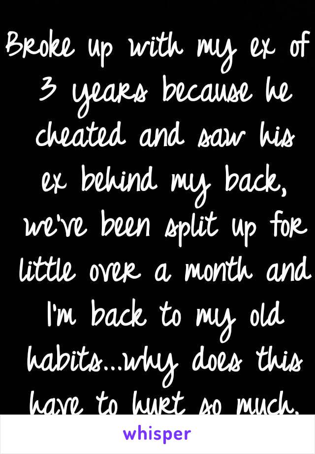 Broke up with my ex of 3 years because he cheated and saw his ex behind my back, we've been split up for little over a month and I'm back to my old habits...why does this have to hurt so much.